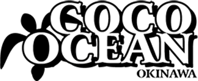 coco ocean沖縄