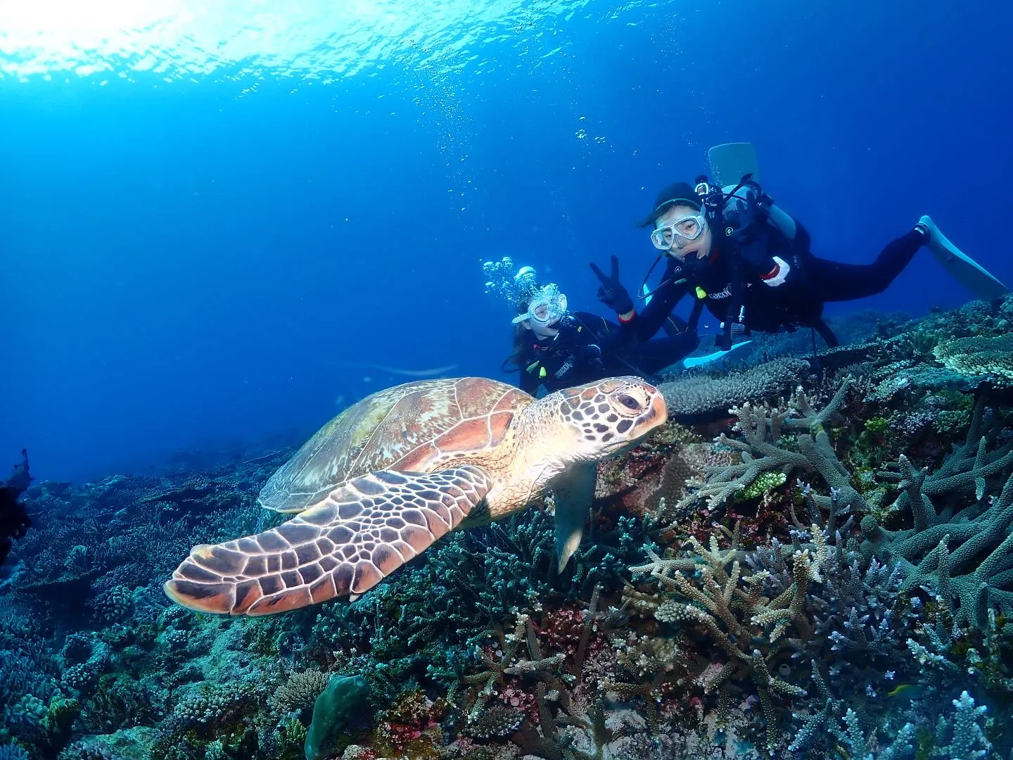 4月8日慶良間ダイビング🤿