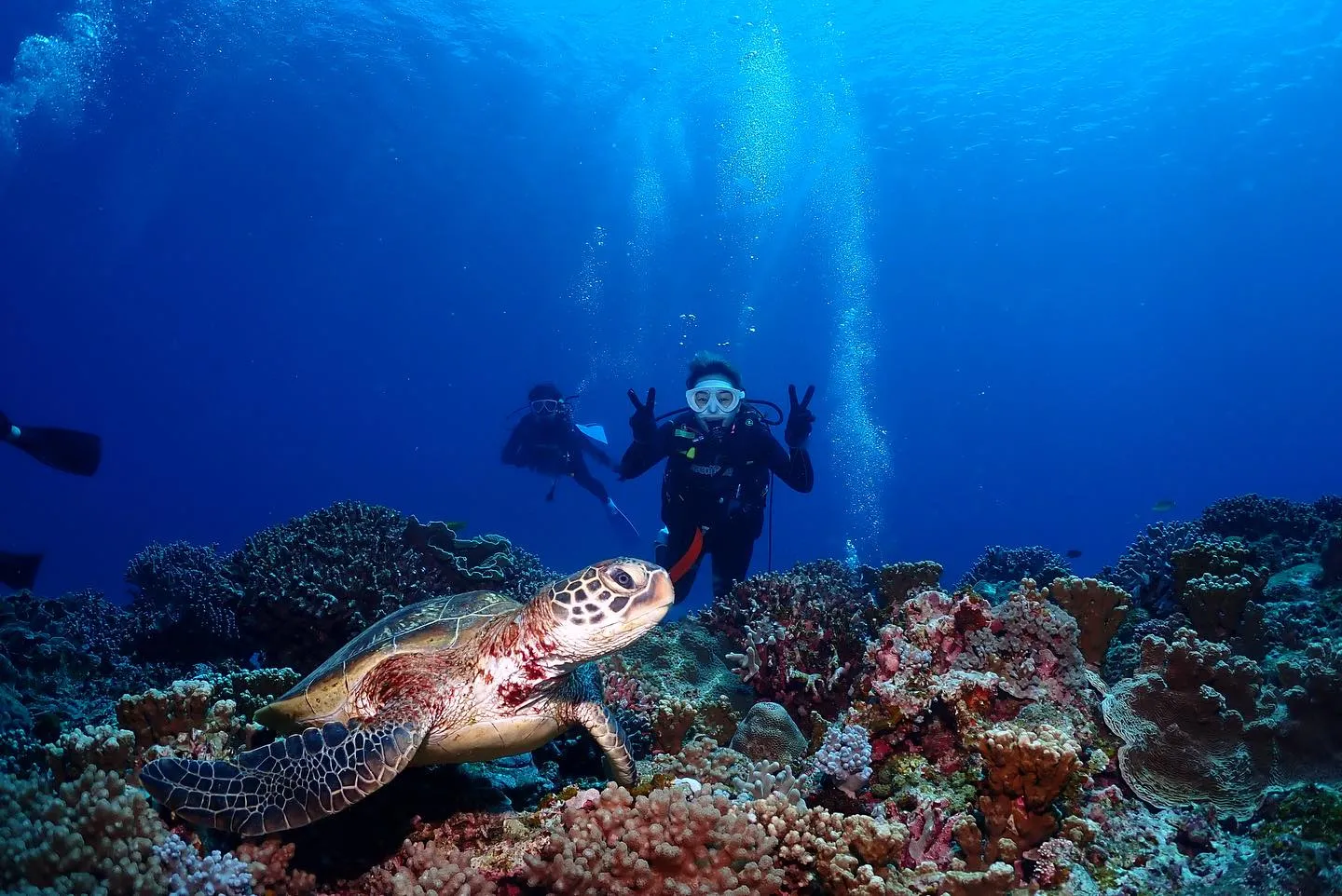 4月9日慶良間ダイビング🤿