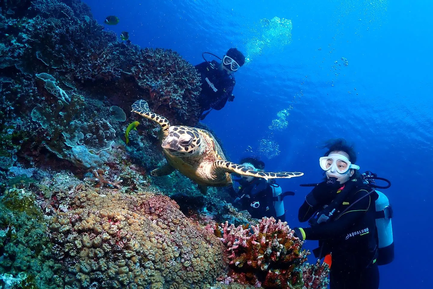 4月9日慶良間ダイビング🤿