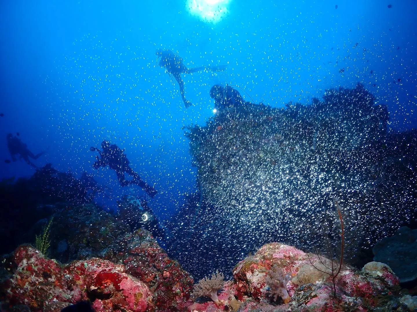 4月12日慶良間ダイビング🤿