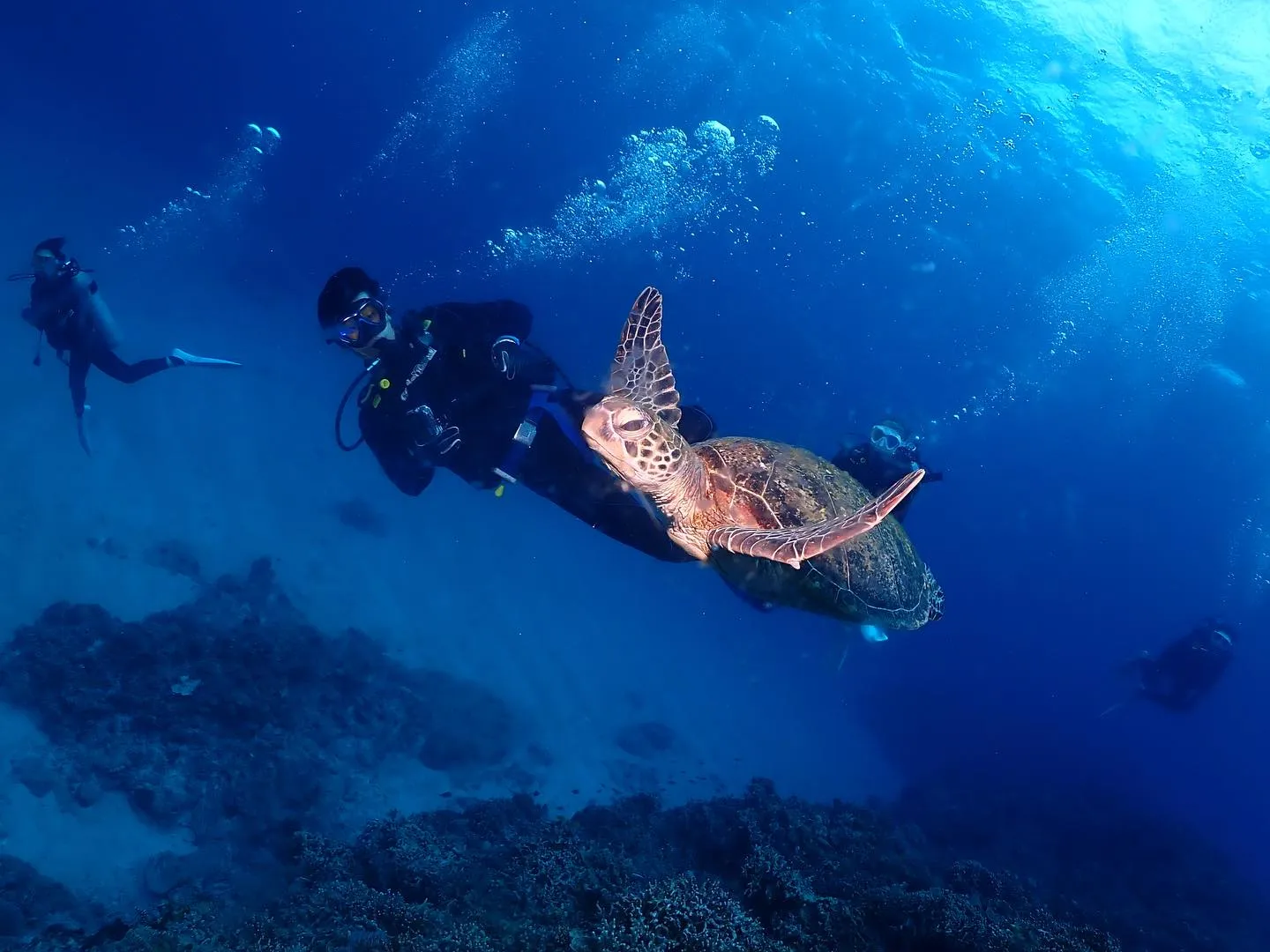 4月20日慶良間ダイビング🤿