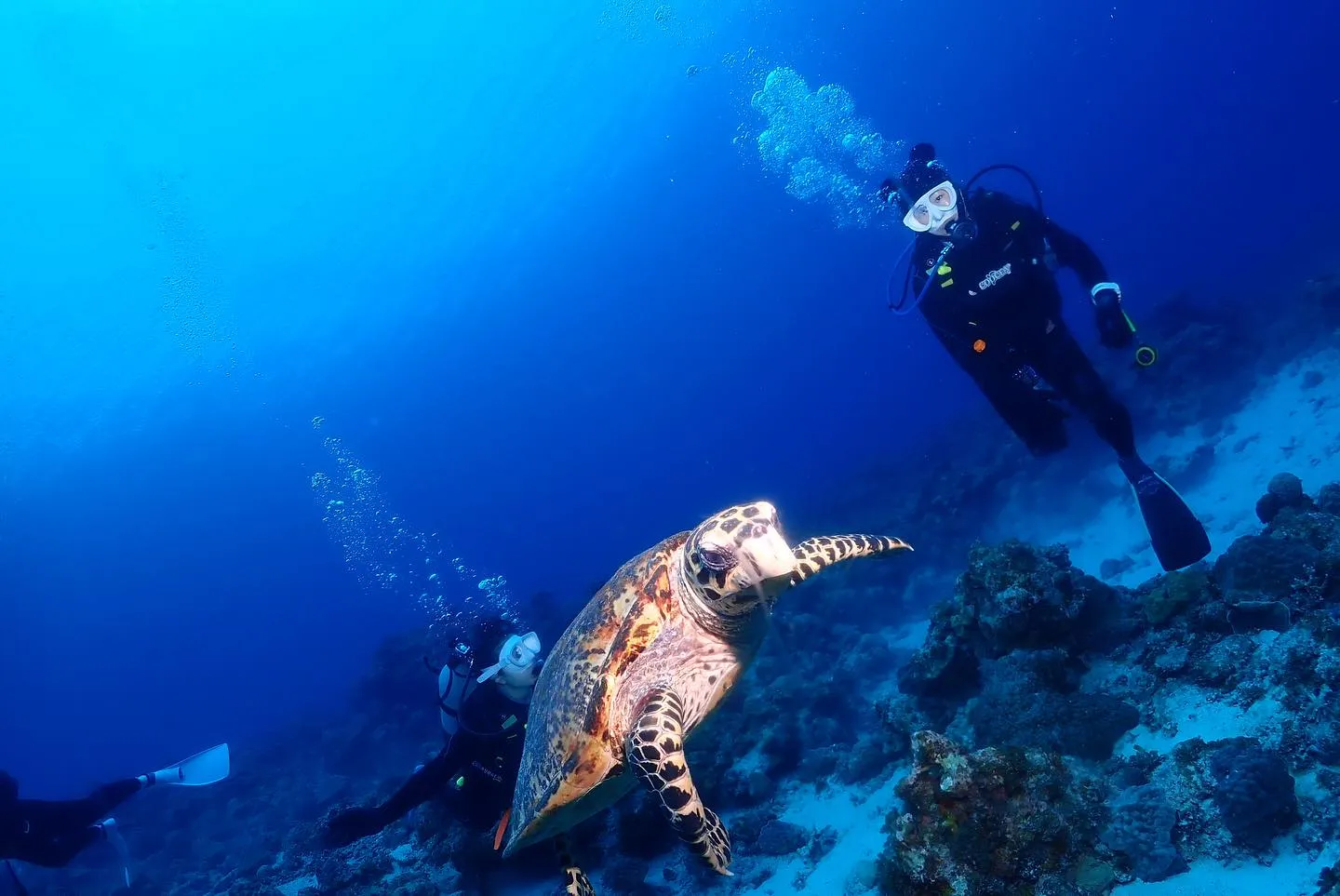 5月4日慶良間ダイビング🤿