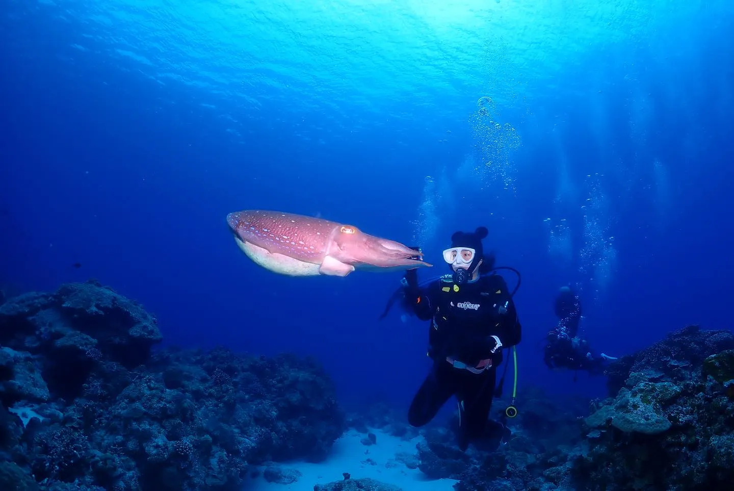 5月4日慶良間ダイビング🤿