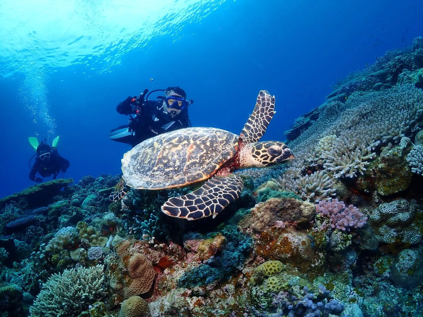 5月5日慶良間ダイビング🤿