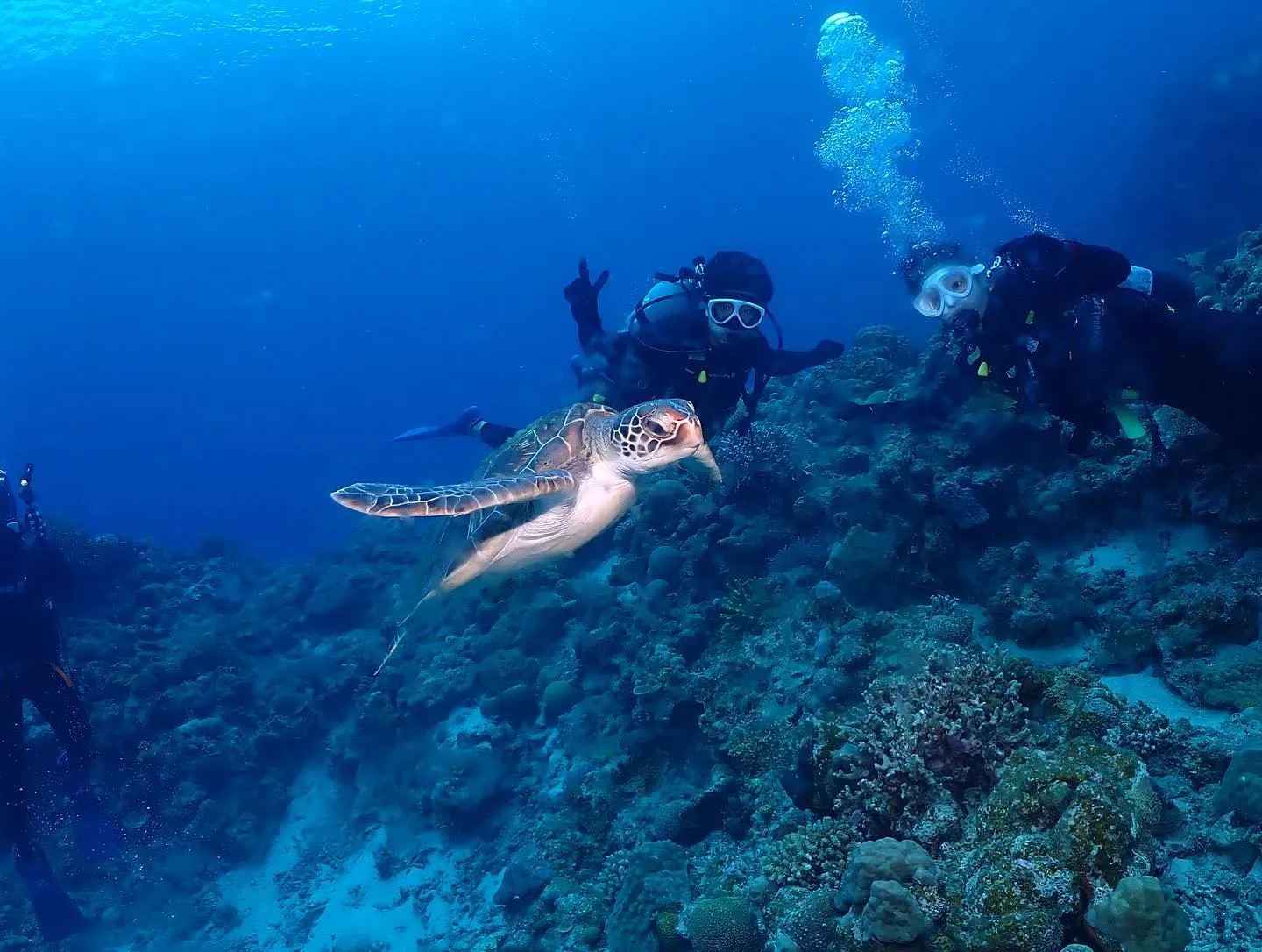 5月5日慶良間ダイビング🤿