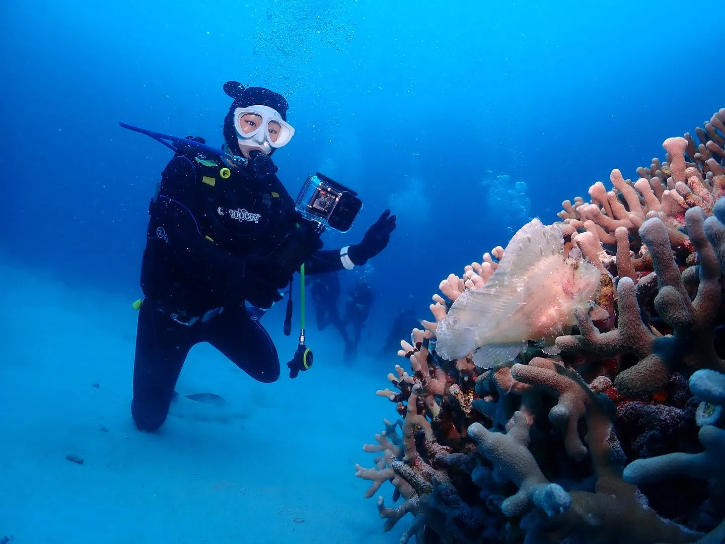 5月5日慶良間ダイビング🤿