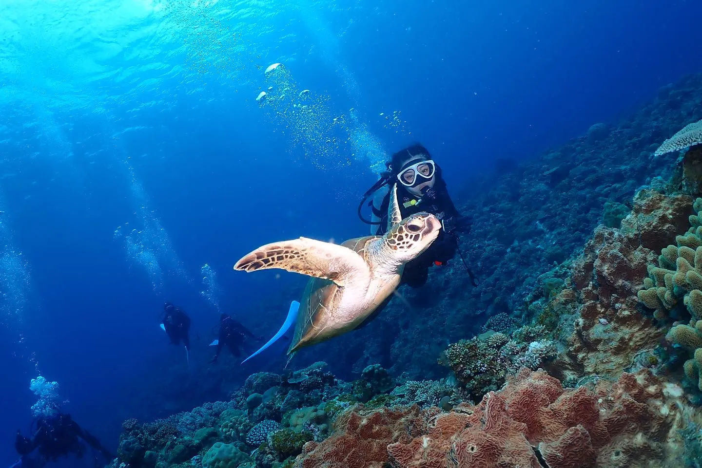 5月6日チービシダイビング🤿