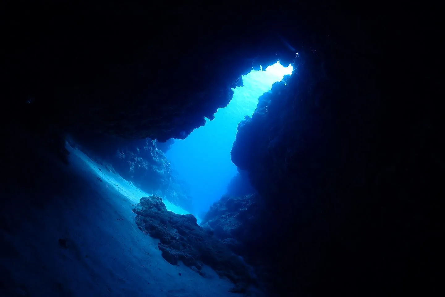 5月6日チービシダイビング🤿