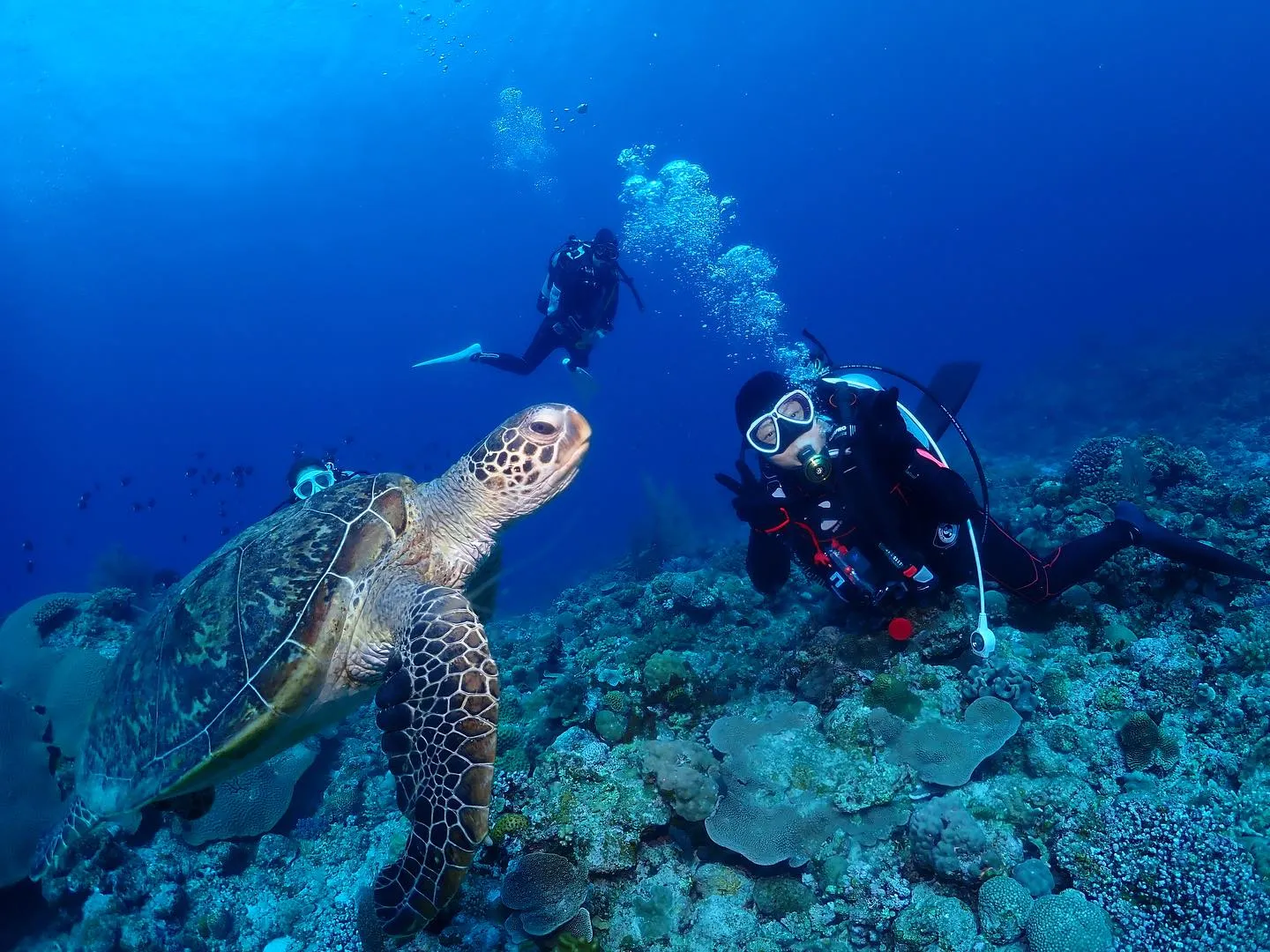 5月9日慶良間ダイビング🤿