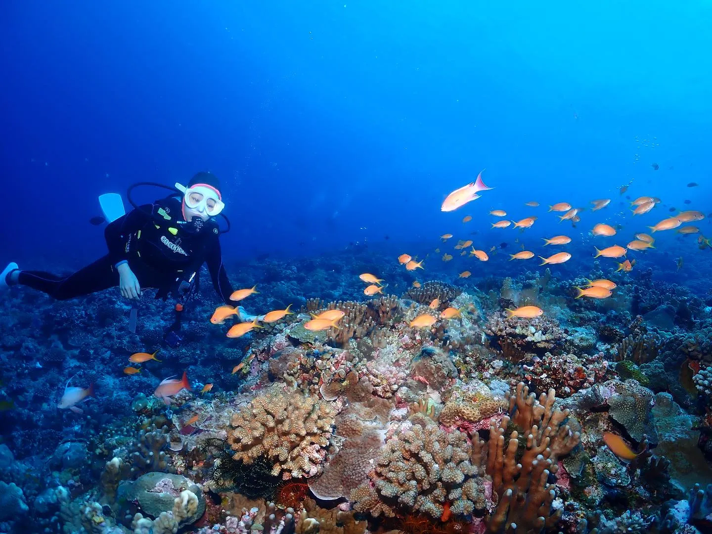 5月9日慶良間ダイビング🤿
