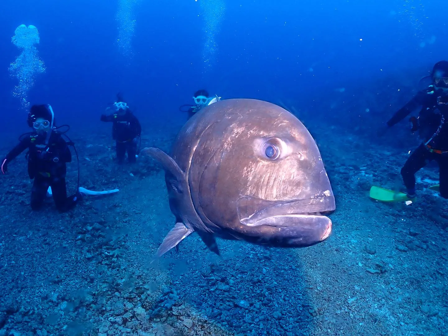 5月10日慶良間ダイビング🤿