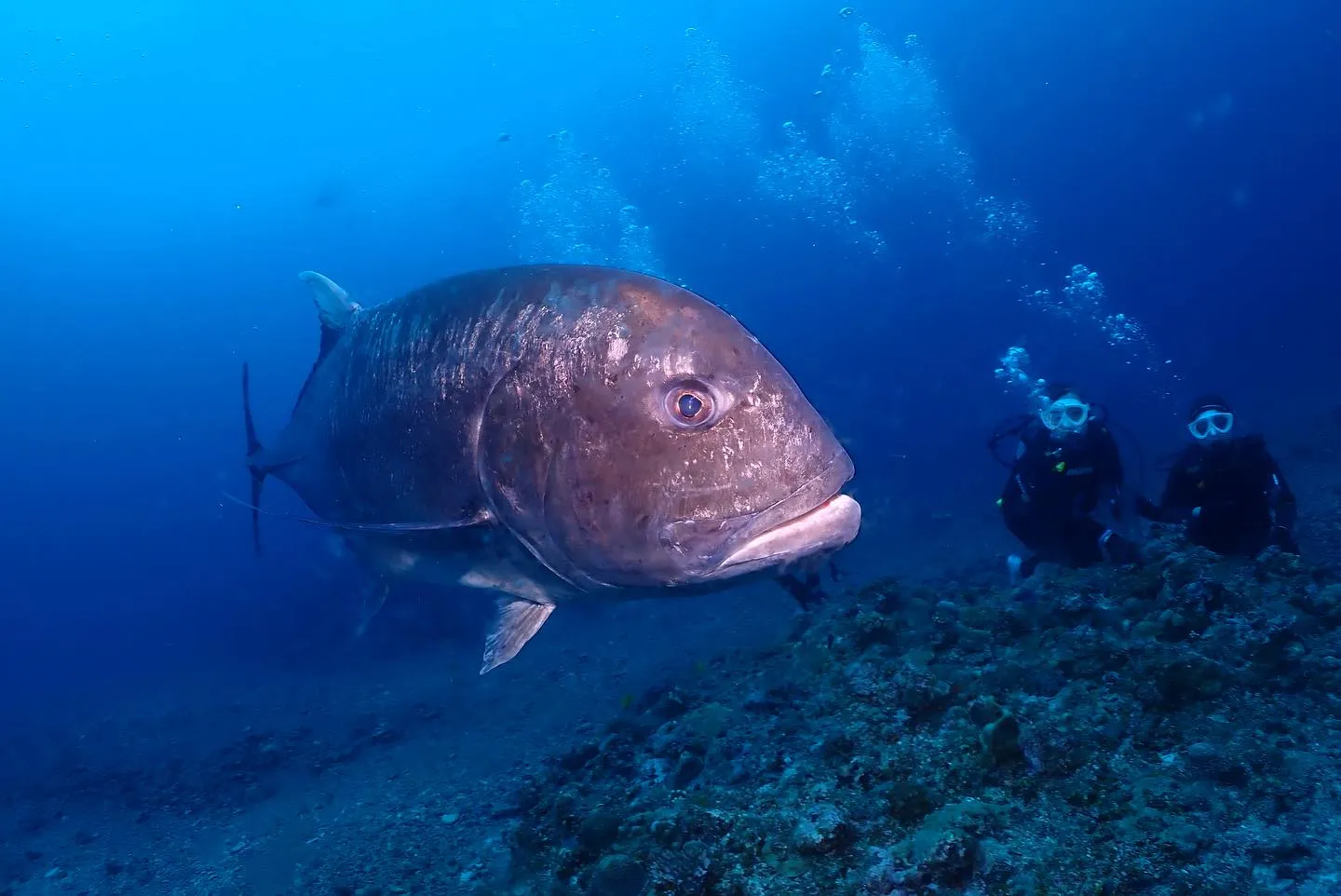 5月13日慶良間ダイビング🤿