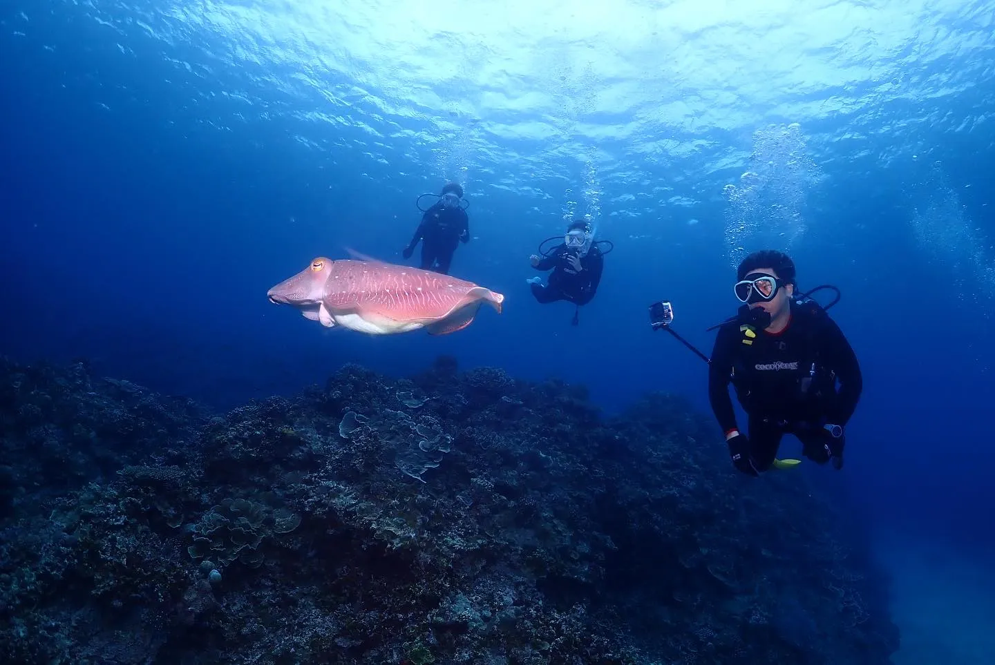 5月13日慶良間ダイビング🤿
