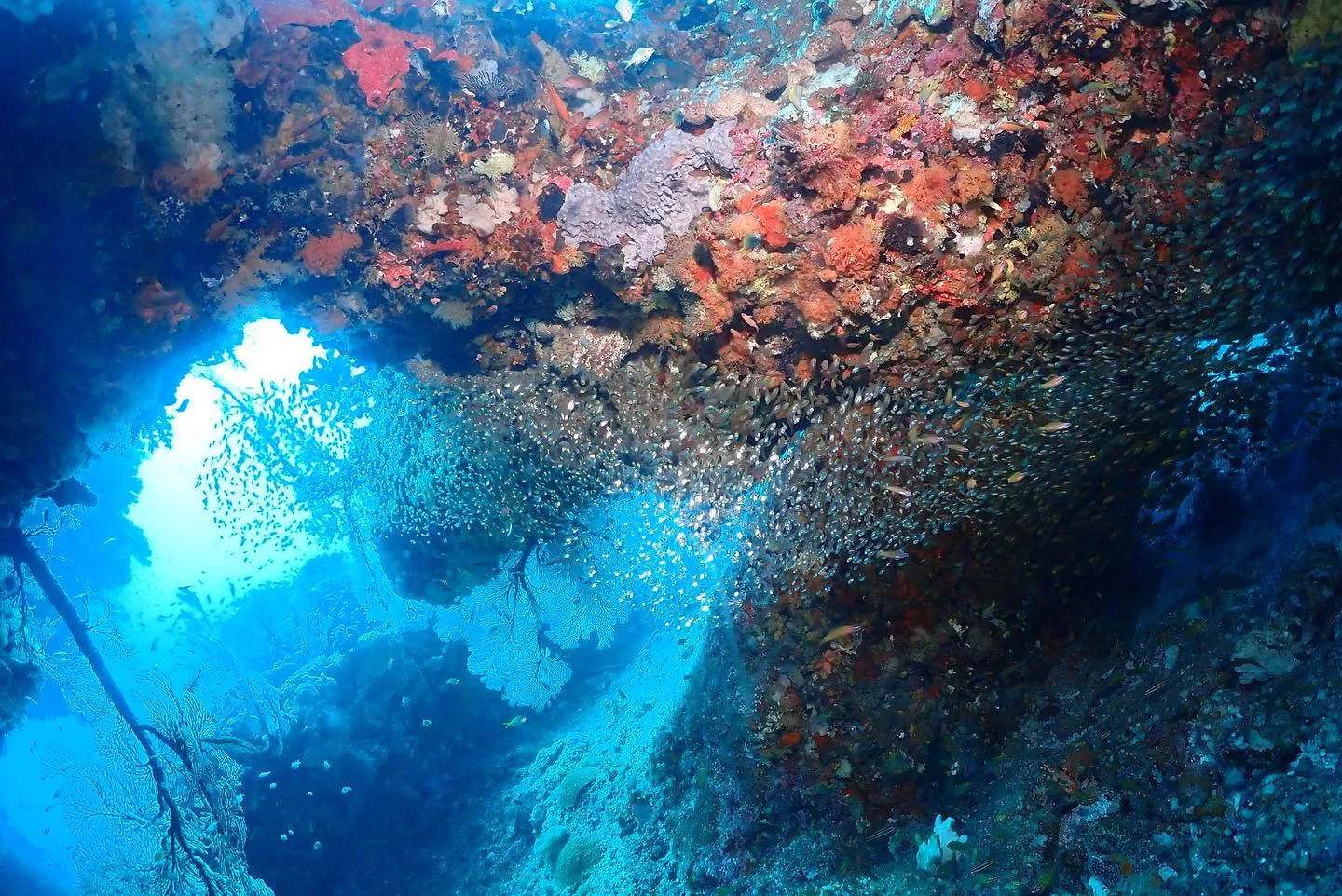 5月14日慶良間ダイビング🤿