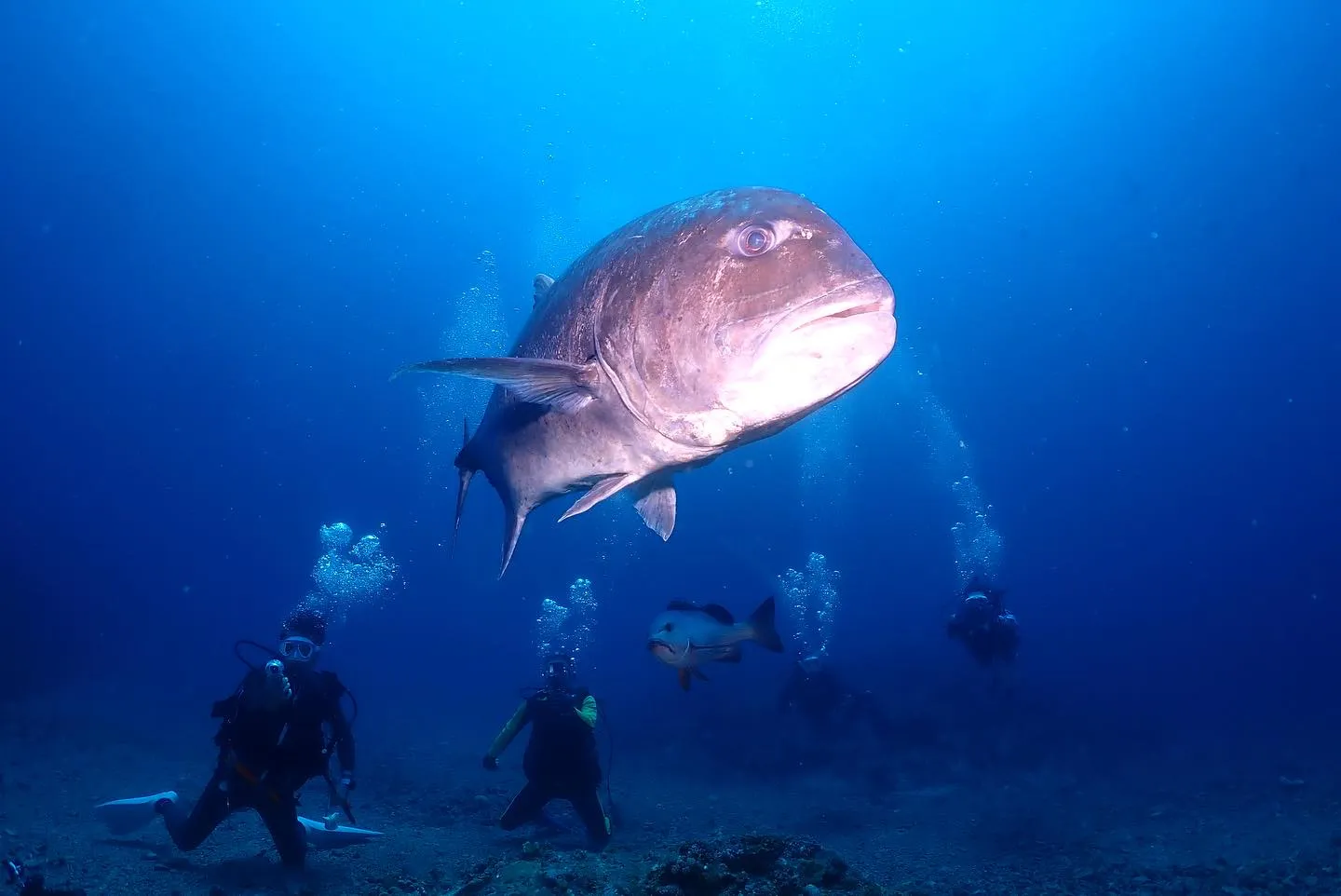 5月16日慶良間ダイビング🤿