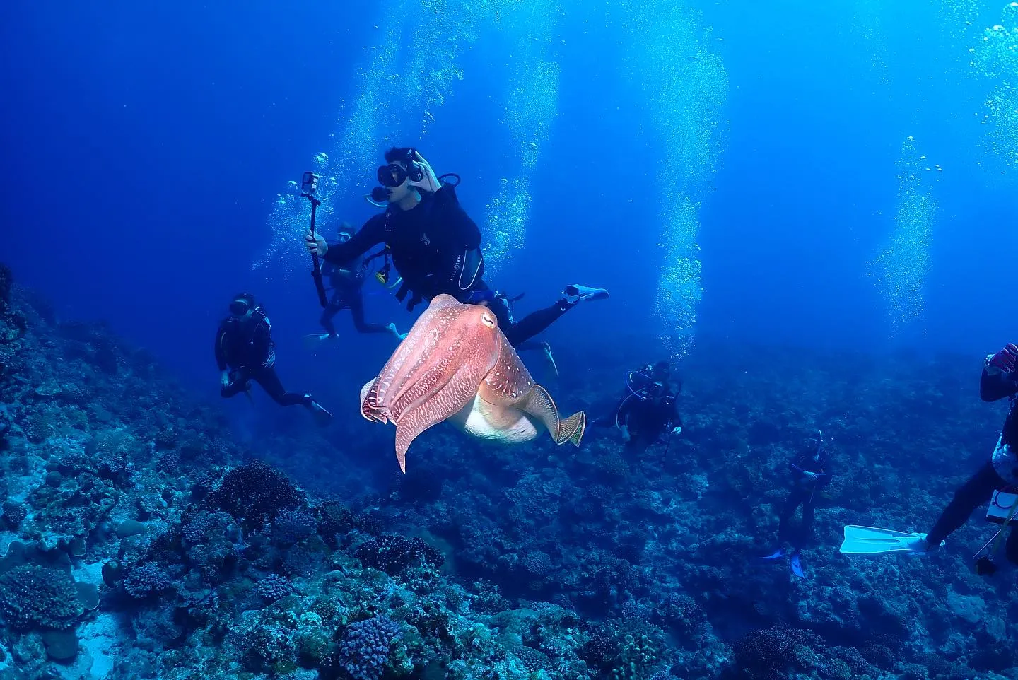5月16日慶良間ダイビング🤿