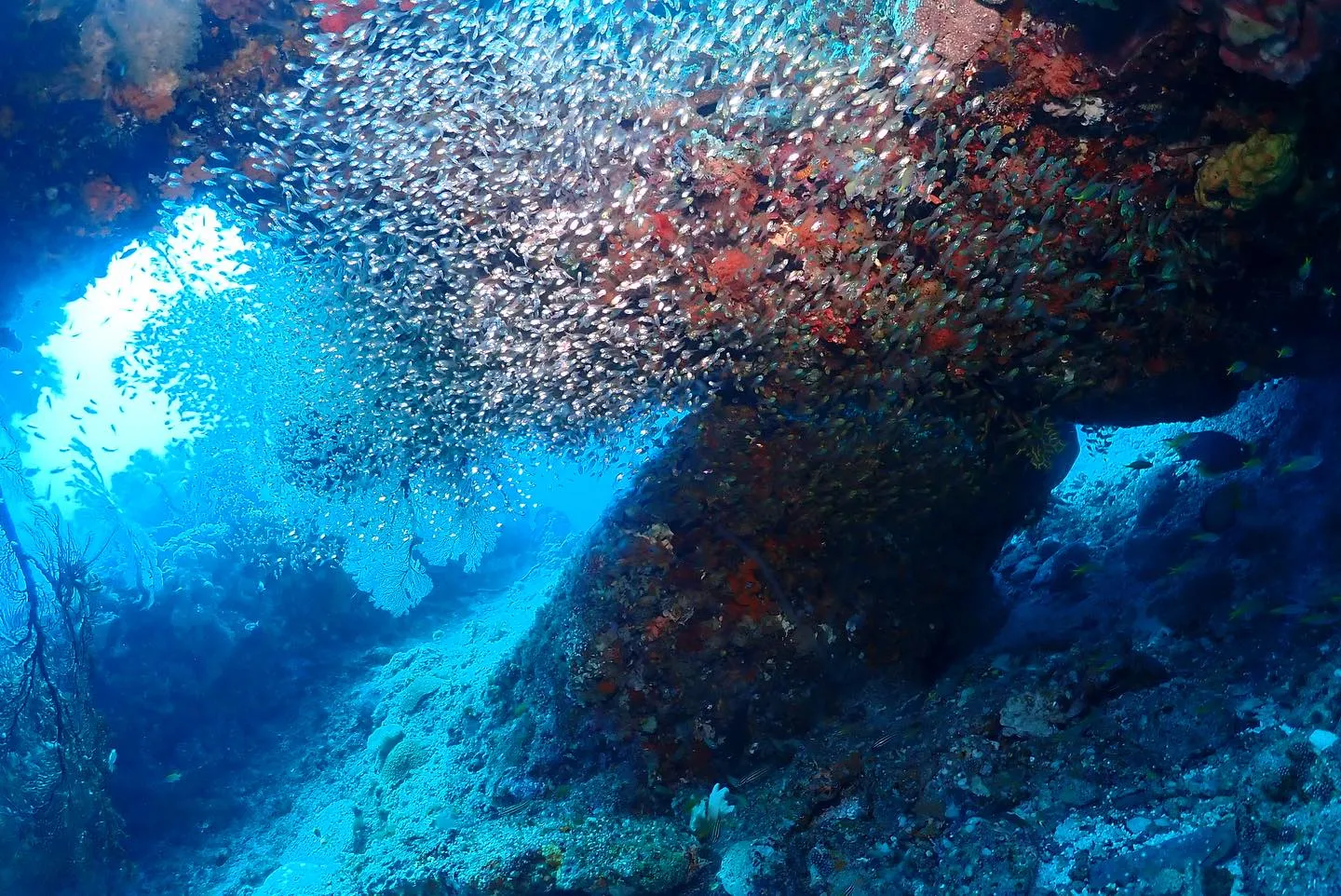 5月16日慶良間ダイビング🤿