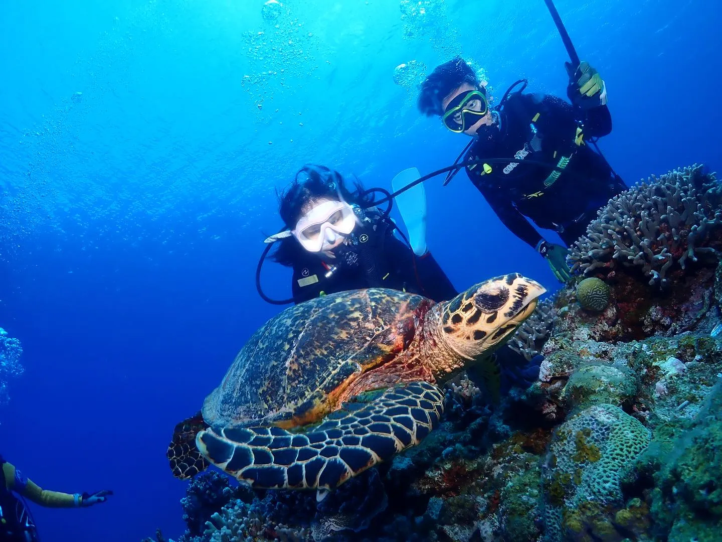 5月23日慶良間ダイビング🤿