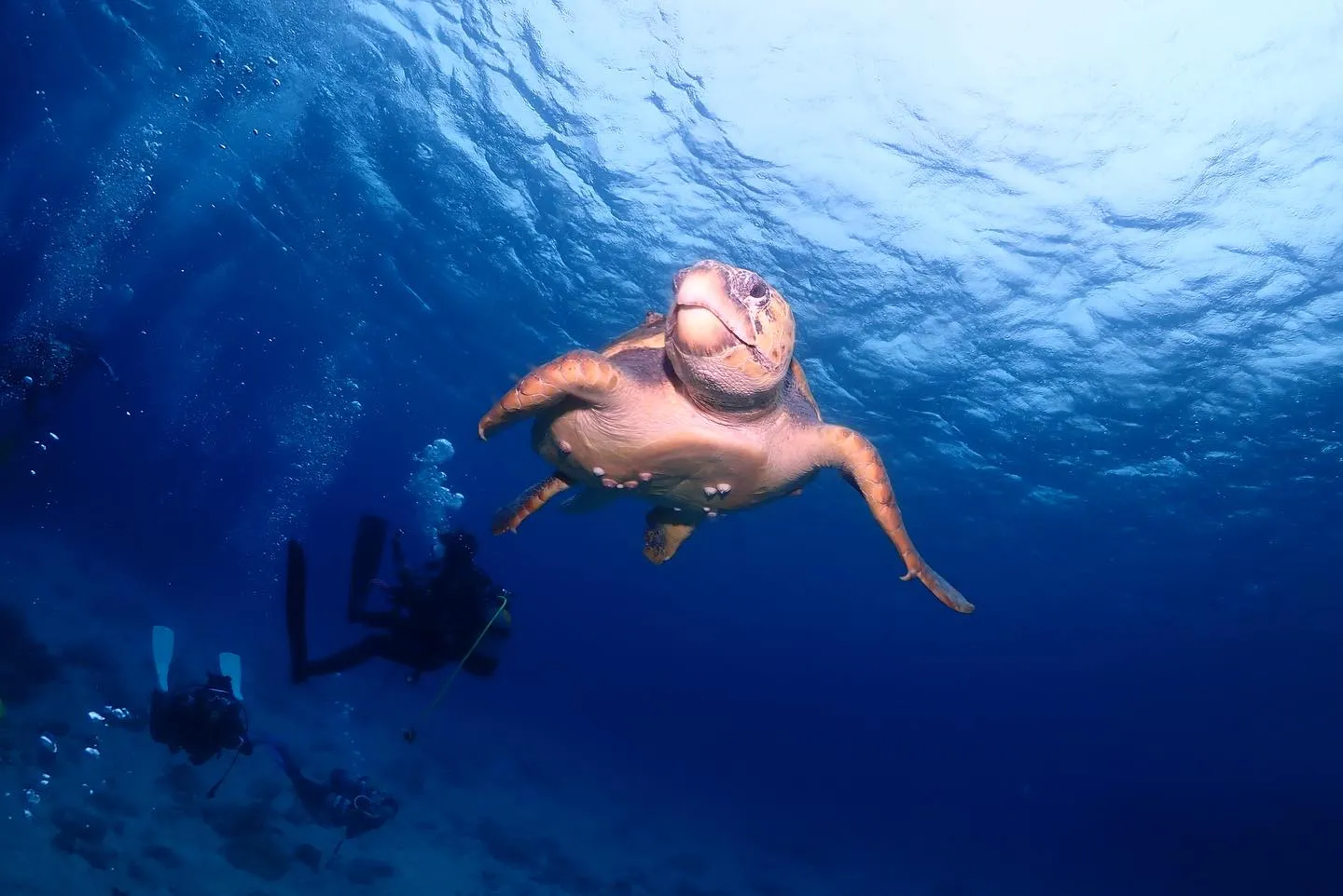 5月29日慶良間&チービシダイビング🤿