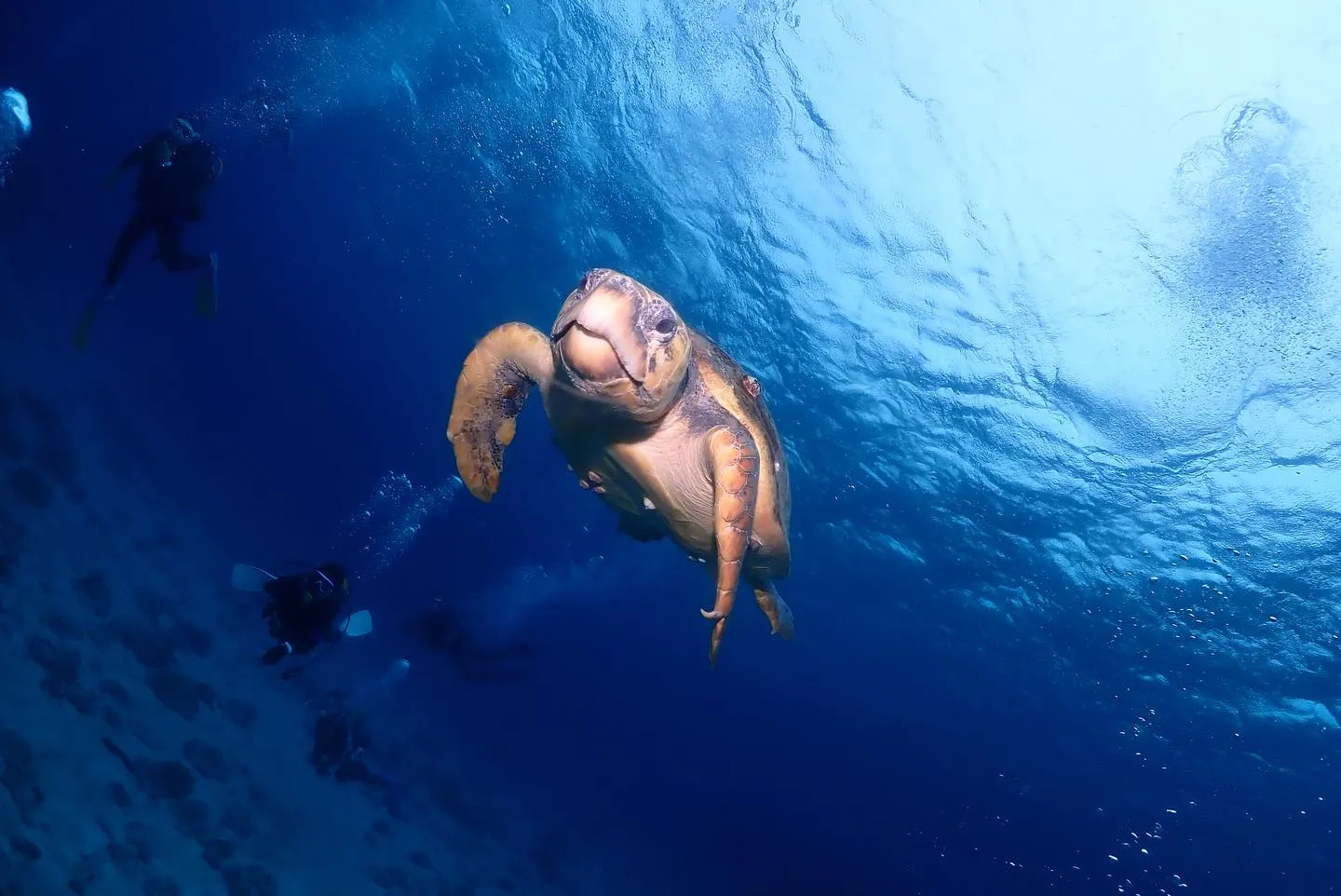 5月29日慶良間&チービシダイビング🤿