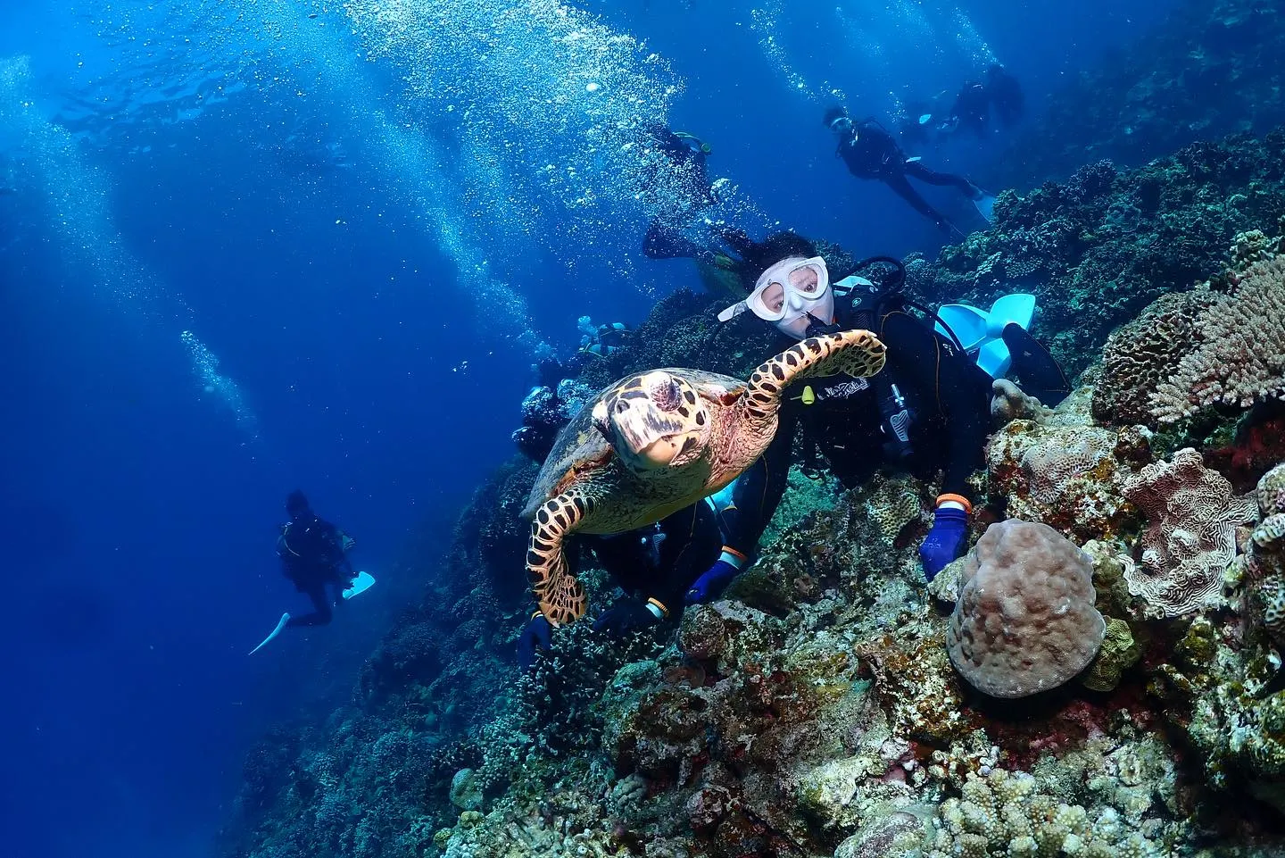 8月3日慶良間ダイビング🤿