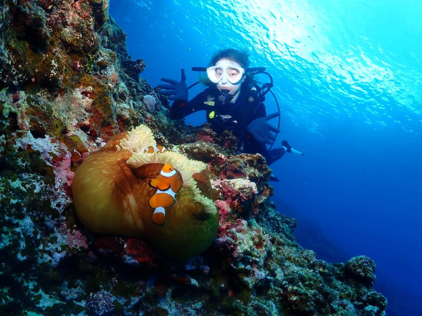 8月4日慶良間ダイビング🤿