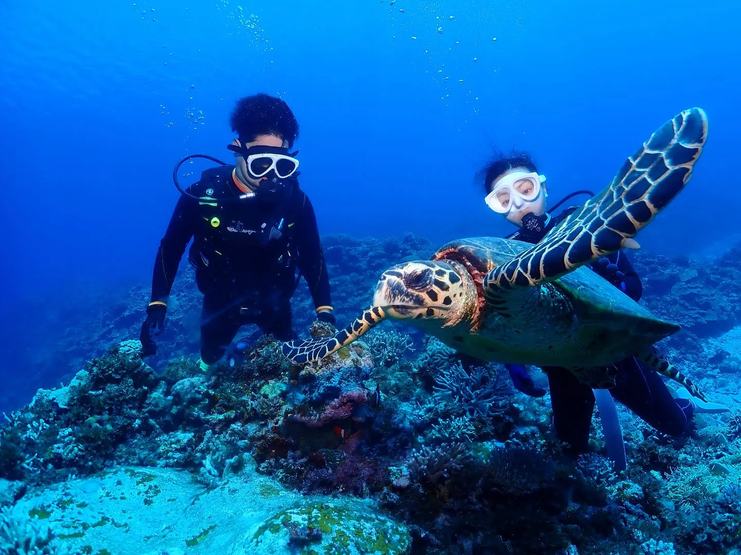 9月17日慶良間ダイビング🤿