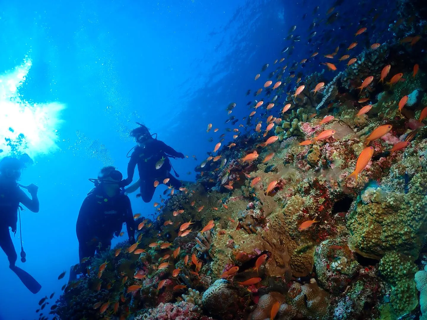 10月2日慶良間ダイビング🤿