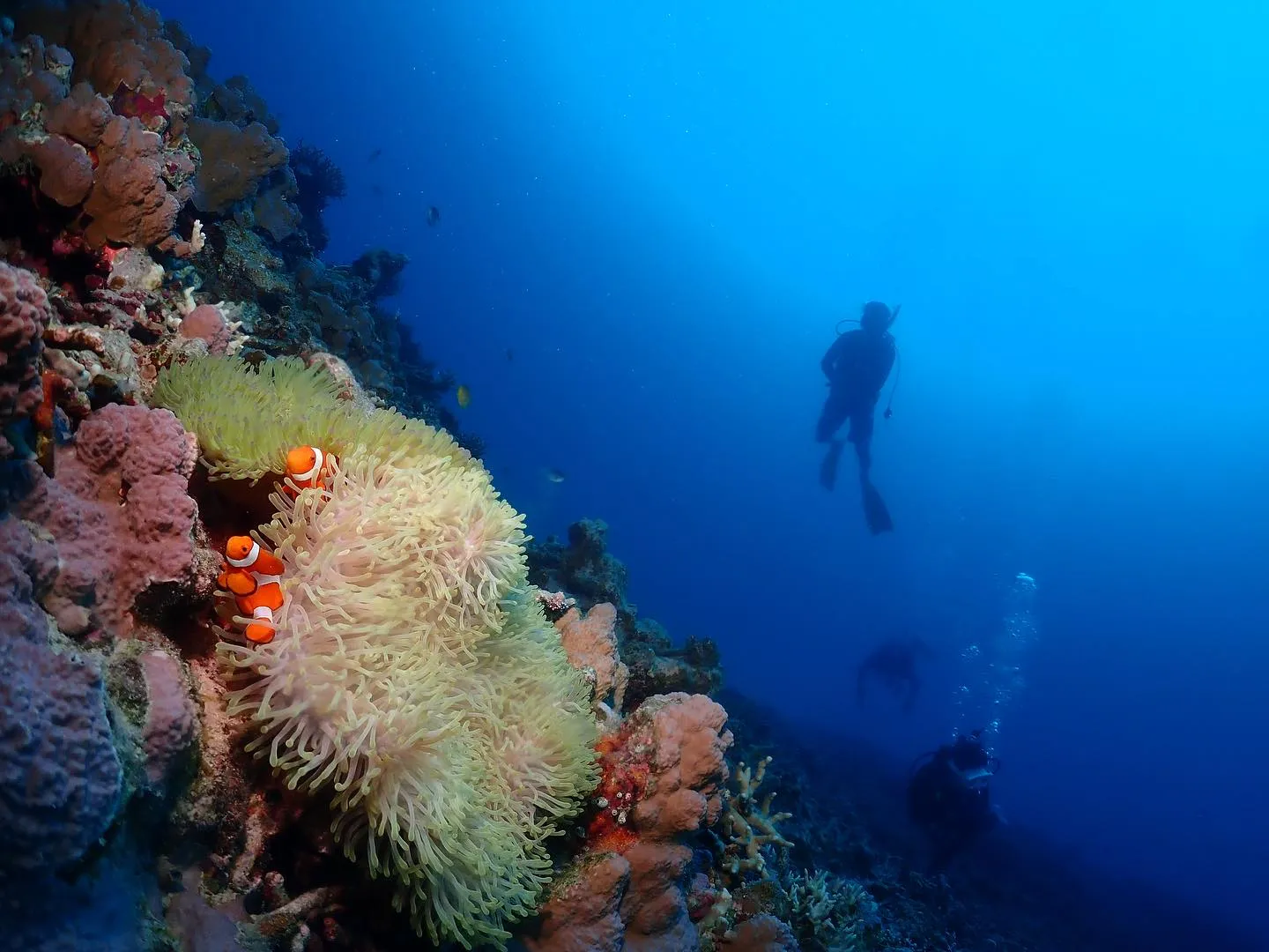10月23日慶良間ダイビング🤿