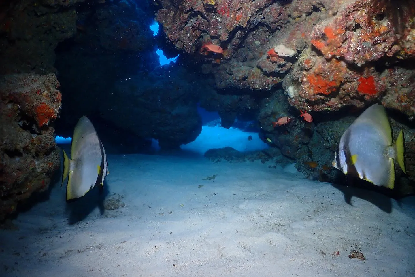 10月27日チービシダイビング🤿