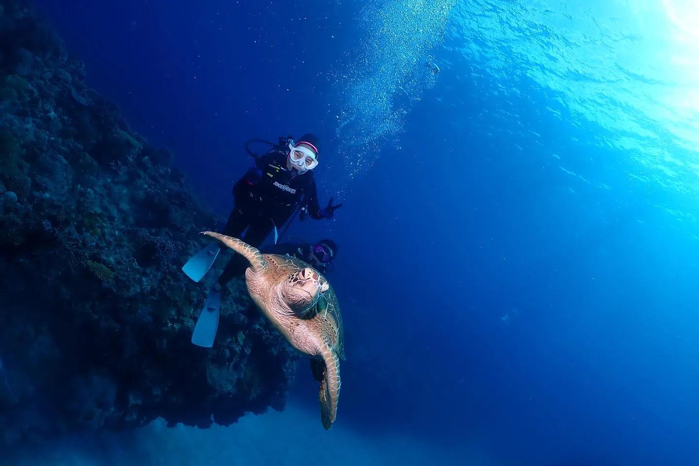 12月16日チービシダイビング🤿
