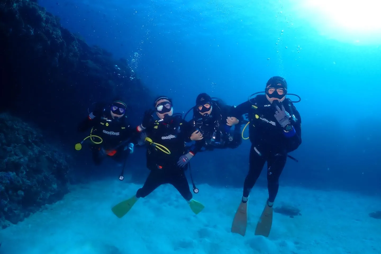 1月24日チービシダイビング🤿