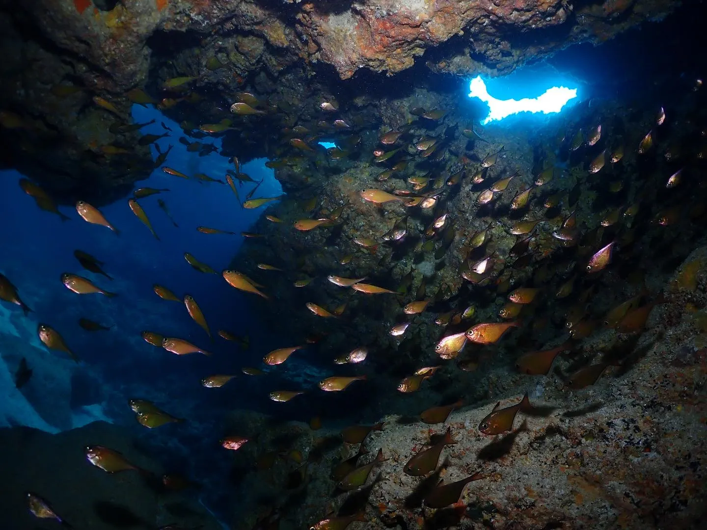 2月7日チービシダイビング🤿