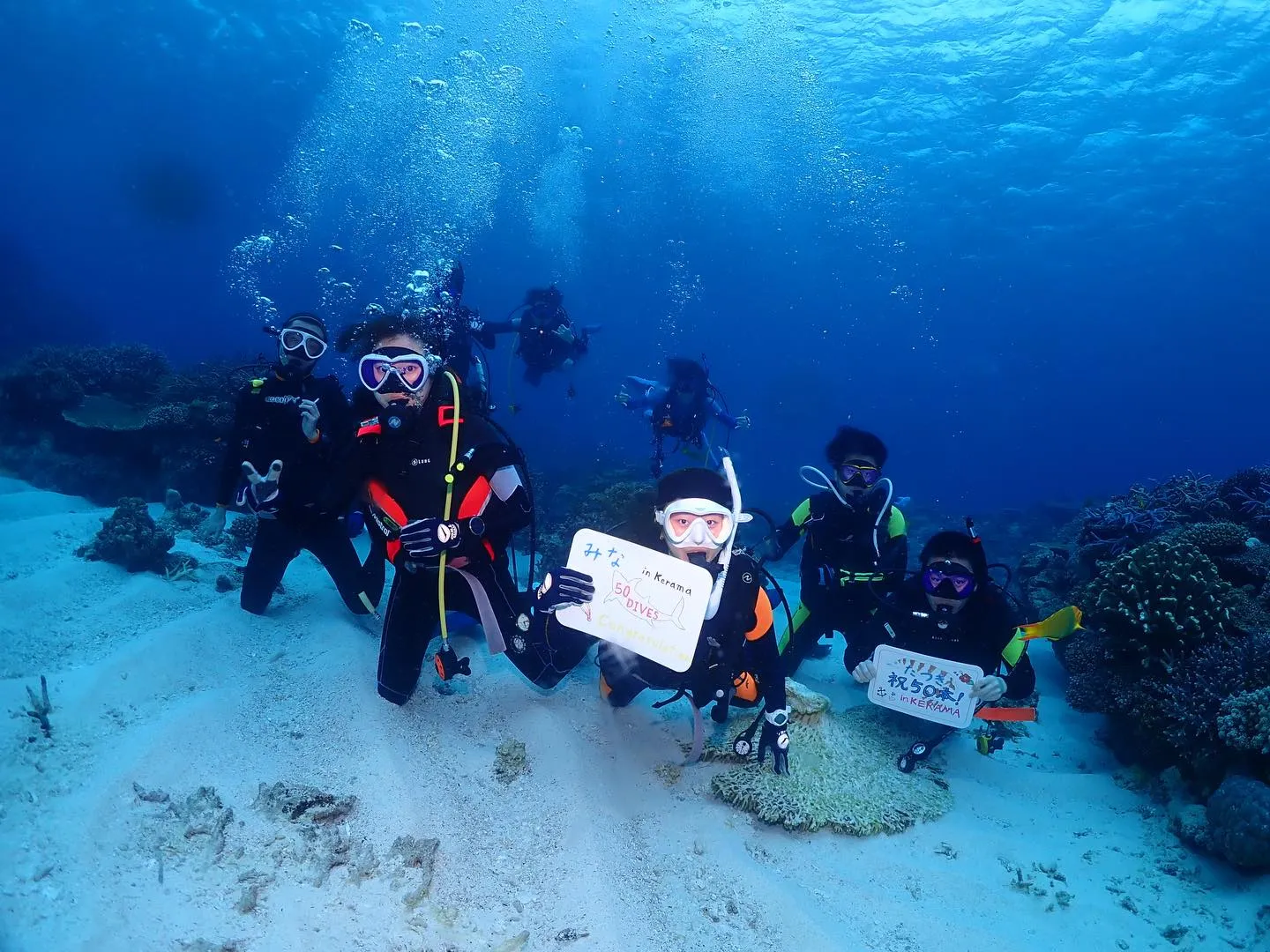 2月27日チービシダイビング🤿