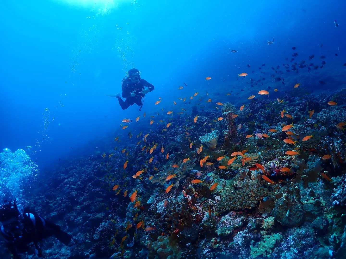 4月13日慶良間ダイビング🤿