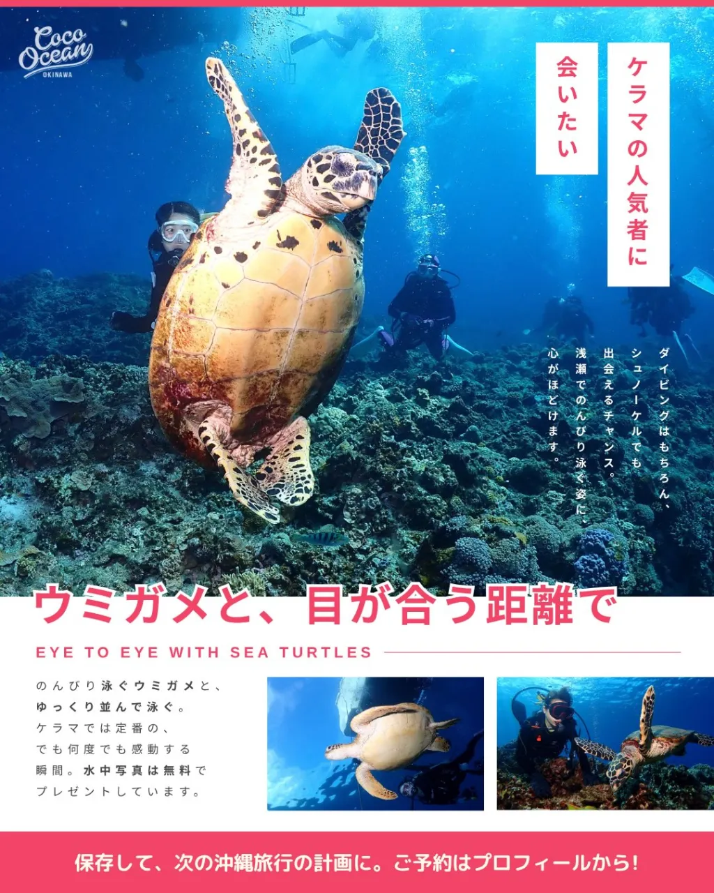 沖縄ダイビングショップ ココオーシャン🌺