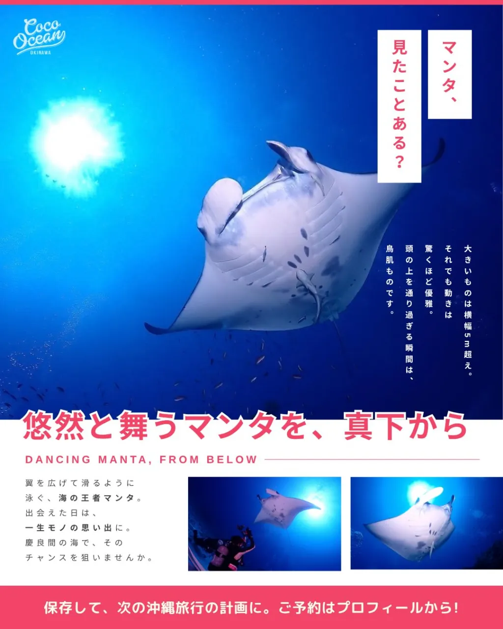 沖縄ダイビングショップ ココオーシャン🌺