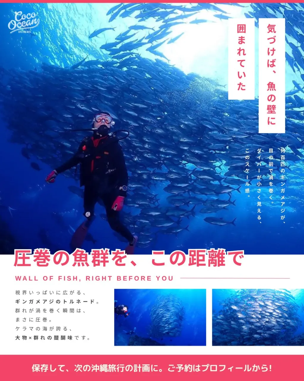 沖縄ダイビングショップ ココオーシャン🌺