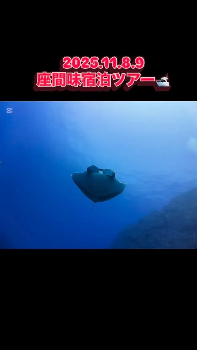 ハイサーイ🙋🏾‍♂️