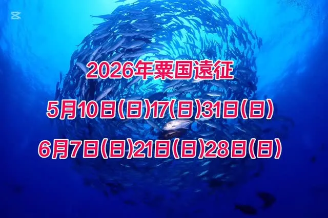 2026年粟国遠征ツアー日程です🙋🏾‍♂️