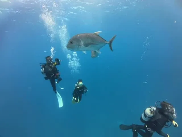 4月16日慶良間ダイビング🤿