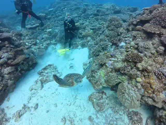 4月17日慶良間ダイビング🤿