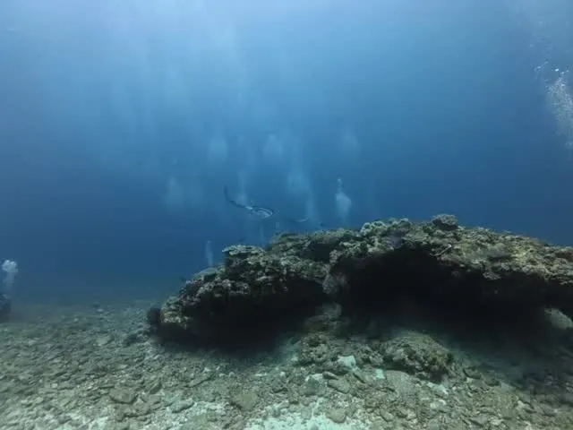 4月21日慶良間ダイビング🤿