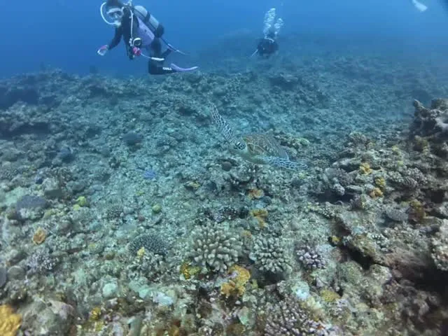 4月30日チービシダイビング🤿